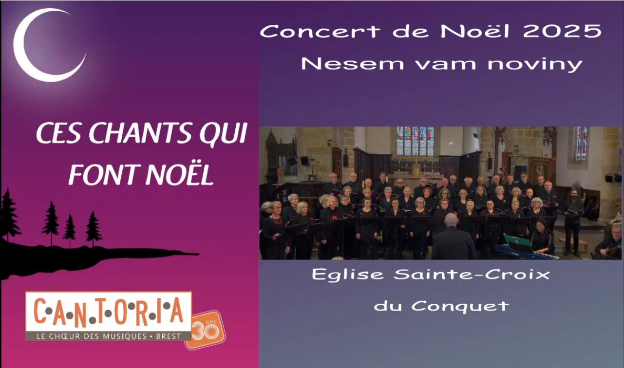 12 - Nesem Vam Noviny